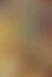 24" x 36" lithograph featuring various characters spanning the entire Fallout series, with Vault Boy standing in the right corner giving his signature thumbs up pose. This section is focused on Mama Murphy from Fallout 4 who's sitting on a checkered picnic blanket with the Lone Wanderer (as a baby) who is reaching out for a You're SPECIAL book