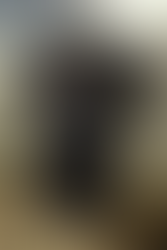 'Heavy Metal' inspired graphic t-shirt featuring the Black Rider power armor skin from Fallout 76 on a black t-shirt