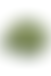 Brotherhood of Steel from Fallout themed bomber jacket with a sage green body and dark olive green accents. The bomber jacket has a black/red embroidered logo over the left chest, black symbol on the upper back collar, custom label on the inside of the back collar, and red pull tie with 'Ad Victoriam' screen printed in white on the left sleeve