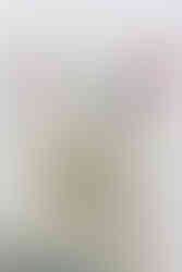 Mr. Pebbles (a white cat with blue eyes wearing a white space suit) from Fallout 76 desk lamp, close up of his face to show facial detail