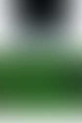 Oversized mousepad (or deskmat) with a repeating Vault Boy from Fallout pattern in a nuclear summer theme: soaking up the rays, swimming in a kiddie pool, having a drink while chilling in a lounge chair, flexing his biceps, and double fisting some drinks. The Vault Boy images are in a bright almost neon green, on a background of black and grey tropical flowers