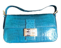 Exotic skin, crocodile