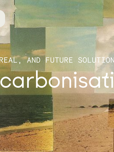 Lazy, Real, and Future solutions to Decarbonisation 