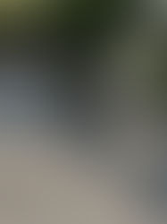 JAPAN REFLECTION: LESSONS IN CARE AND CONSCIOUSNESS