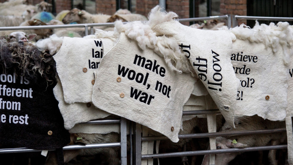 pieces of wool felt with text on it that said make wool, not war created by Wool March