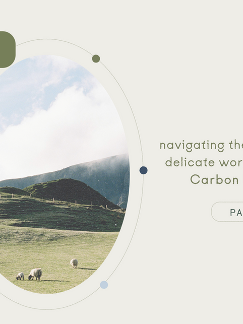 Navigating The Confusing And Delicate World of LCAs & Carbon Neutrality | Part 1