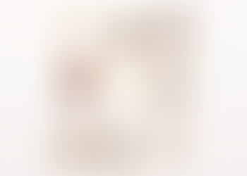 Everything But The Jean