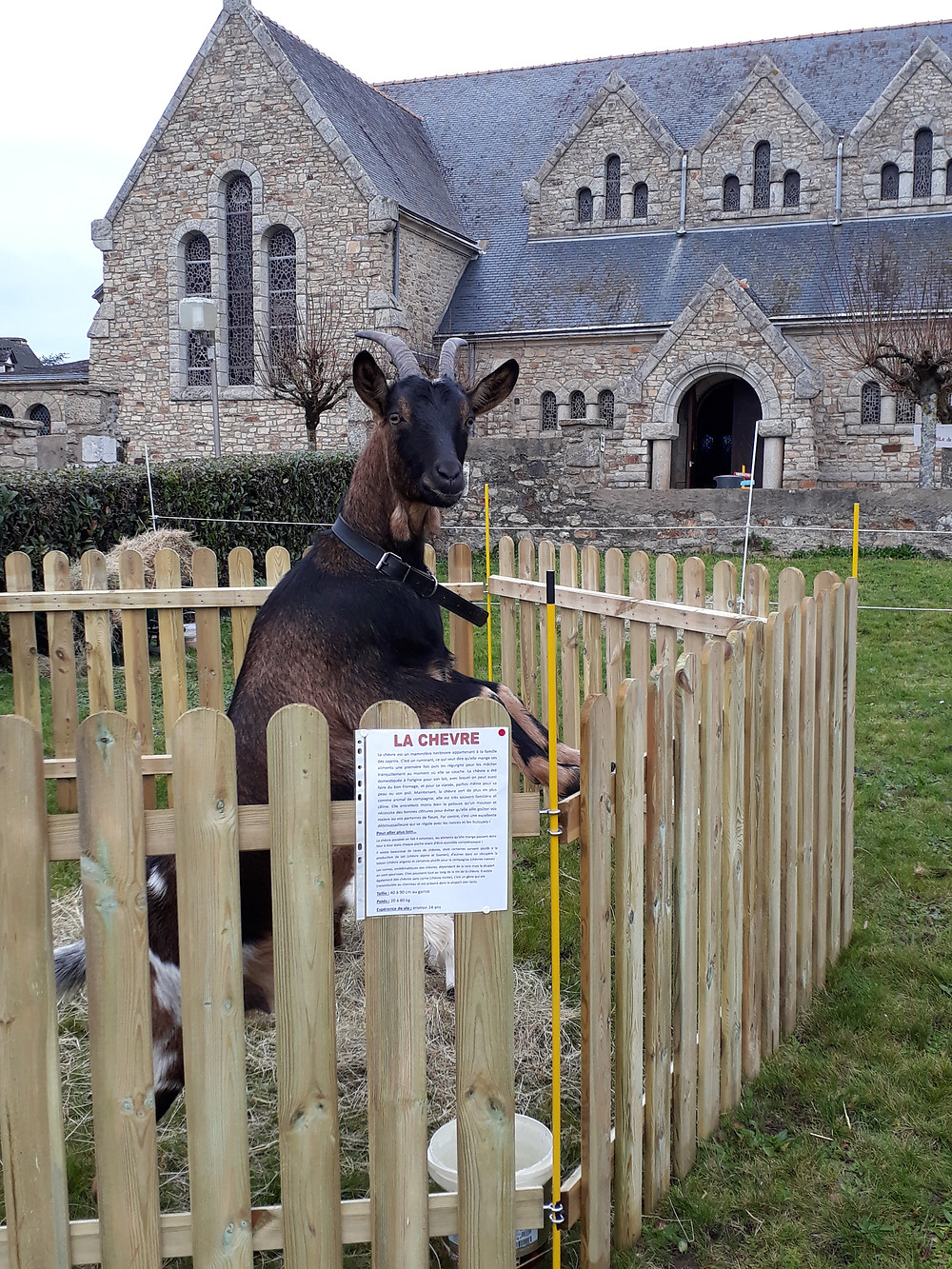 Clochette prend la pose devant son affiche !
