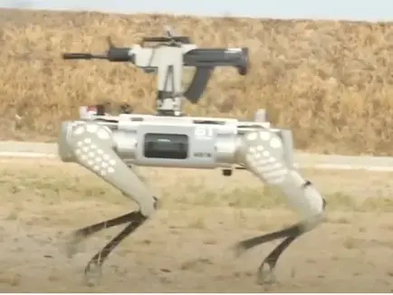 Kineska implementacija 'RoboDogsa'