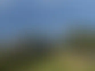 Prosvjed poljoprivrednika u Francuskoj