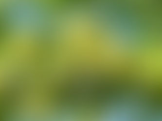 Anselmo Mendes, o senhor Alvarinho.