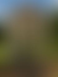 Energy from Underground, Savings on the Surface: The Geothermal Revolution in Hotels