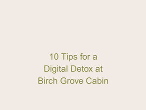 Digital Detox: Refresh Your Mind and Body at Birch Grove Cabin