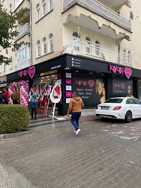 kokoş hanım kırşehir.jpeg