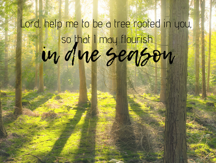In Due Season