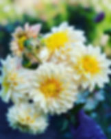 Thumbnail: Flowers in a field