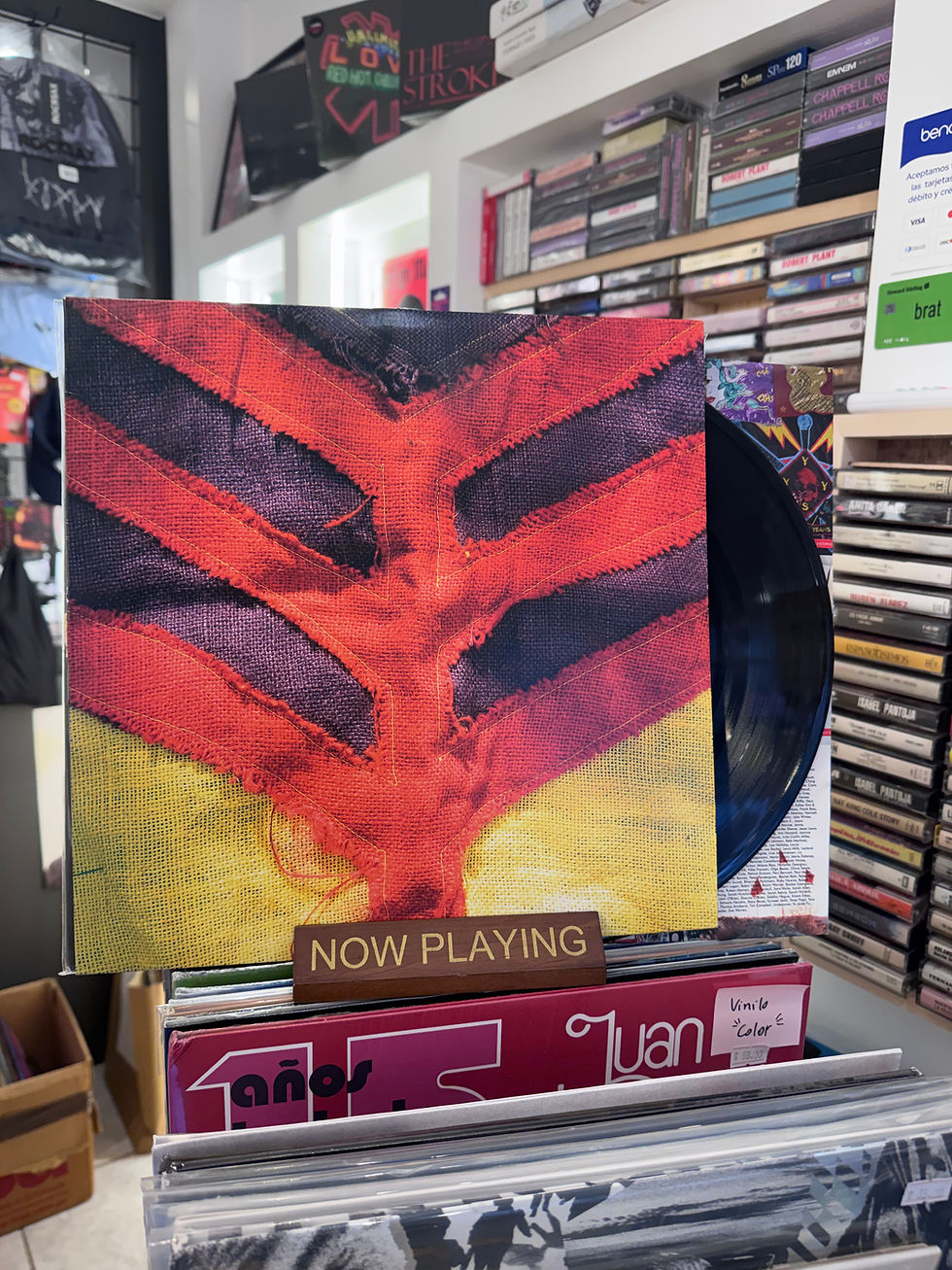 Miniatura: Yeah Yeah Yeahs - Show Your Bones Vinilo