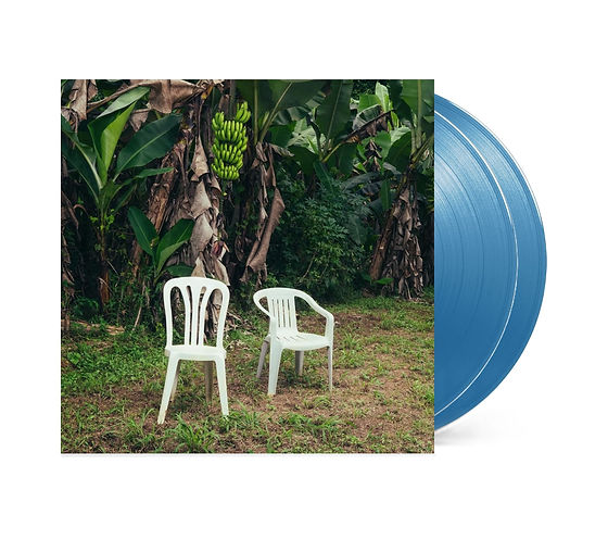 Bad Bunny - DeBÍ TiRAR MáS FOToS 2xLP Ed. Color Vinilo | Bee Vinyl