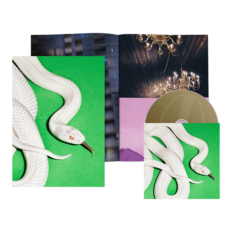 Miniatura: Deftones - Private Music