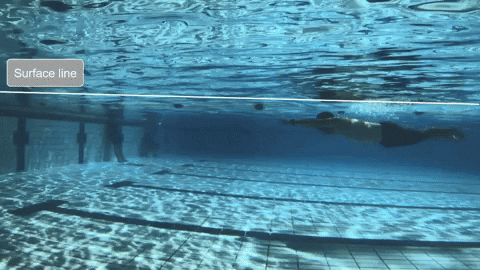 swim gif.gif