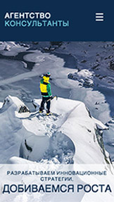 Все шаблоны website templates – Консультант