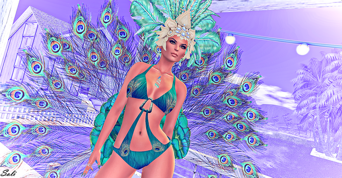 Peacock