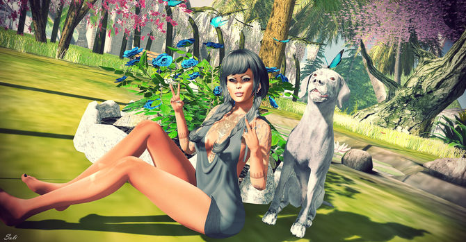 Little Garden....