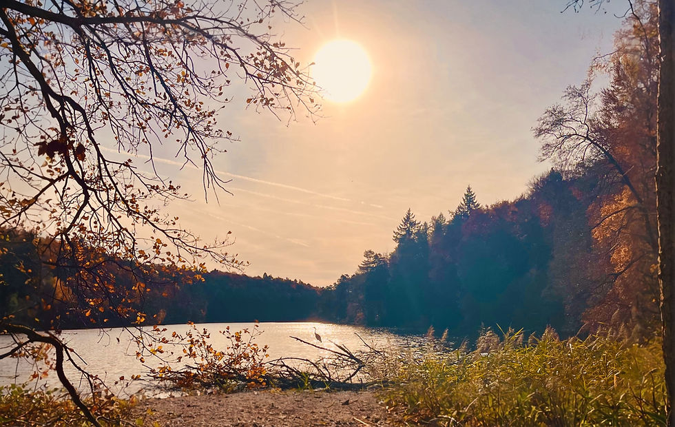 Sonniger Herbstsee mit bunten Bäumen