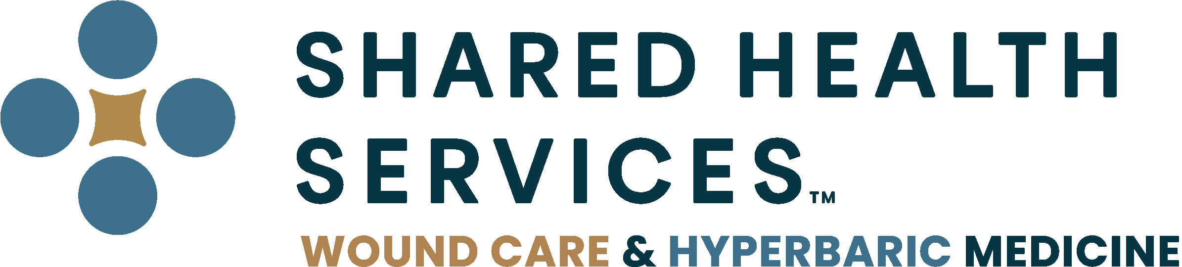 Shared Health Services Wound Care Hyperbaric Oxygen Therapy Management Consulting Contract Company