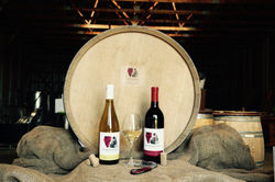 19749672_1612233638811308_699237381_o (1)