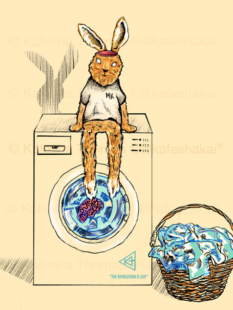 brainwash.jpg