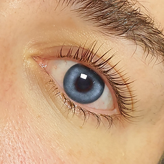 lash-lift.png