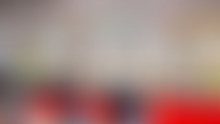 Little Olive Tree at Healthy Family Day 2026