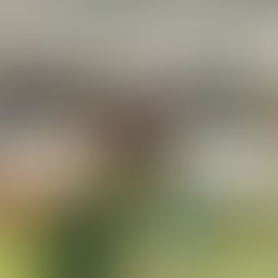 A blessed Christmas gathering at our Balestier HQ office