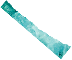 CC graphics (7).png