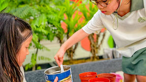 Growing with Care: Little Olive Tree Rochor at the Community Garden