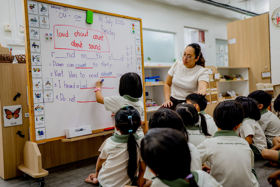 What Does Language and Literacy Look Like at Little Olive Tree?