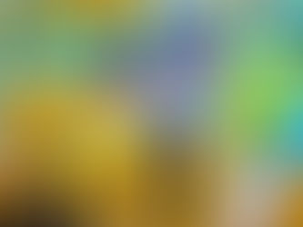 Where Truth, Beauty and Goodness Come Alive: A Learning Journey to Curiosity Cove with LOT Rochor