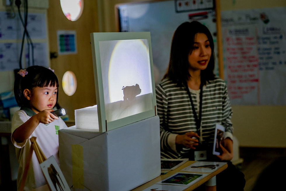 Ms Wang Jia Min covering a lesson on light and spaces using shadows and puppetry.