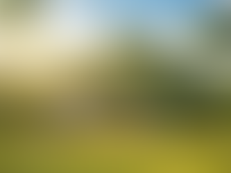 Preventing Myopia in Children: A Christian Family Guide for the Digital Age