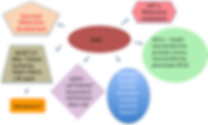 Diagram - Siah2 - Upstream, Downstream and offstream