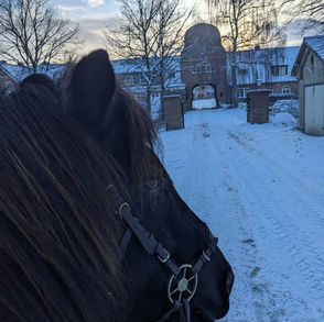 Reittherapie Zauberwelten, Reittherapie Kiel