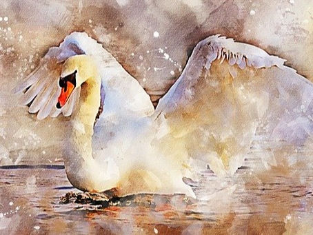 5 reasons why we should speak graciously