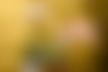 Майстер -клас "Орхідея для мами"