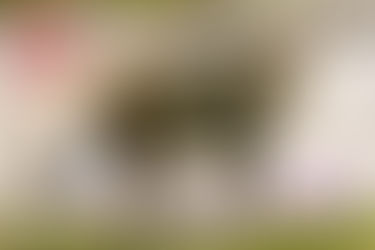 План заходів на весняні канікули