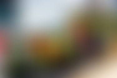 «Прогулянка до осіннього парку»