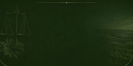 fundo 5_edited.jpg