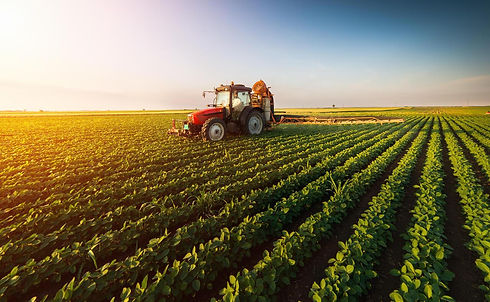 Blog-AgriQ_Agronegocio_Creditos-Shutterstock.jpg