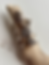 Thumbnail: Lake Michigan Fossil Prong Rings