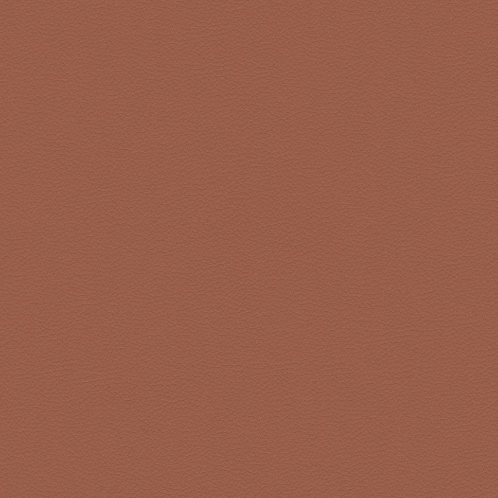Paloma Leather
